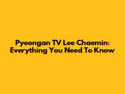 Pyeongan TV Lee Chaemin: Everything You Need To Know