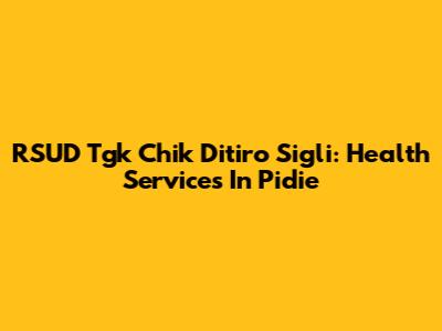 RSUD Tgk Chik Ditiro Sigli: Health Services In Pidie