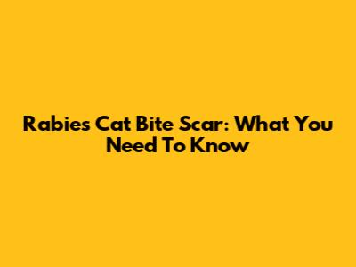 Rabies Cat Bite Scar: What You Need To Know