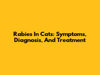 Rabies In Cats: Symptoms, Diagnosis, And Treatment