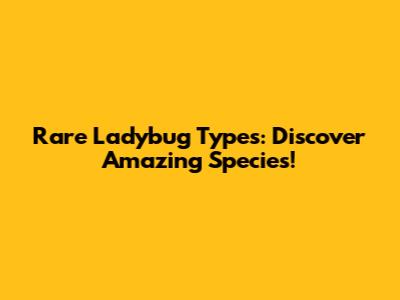 Rare Ladybug Types: Discover Amazing Species!