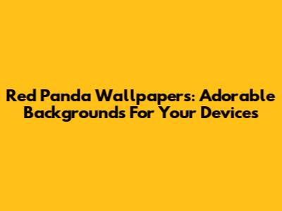 Red Panda Wallpapers: Adorable Backgrounds For Your Devices