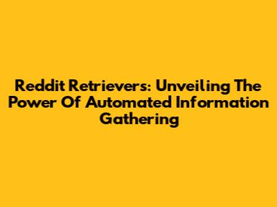 Reddit Retrievers: Unveiling The Power Of Automated Information Gathering