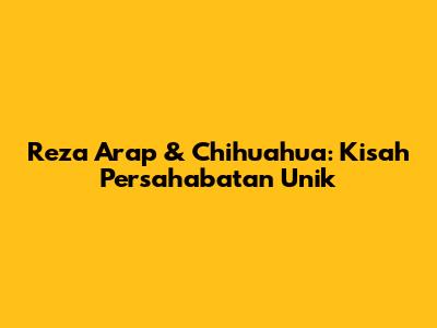 Reza Arap & Chihuahua: Kisah Persahabatan Unik