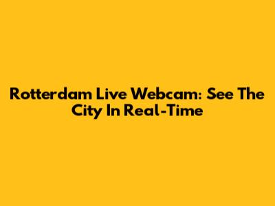 Rotterdam Live Webcam: See The City In Real-Time