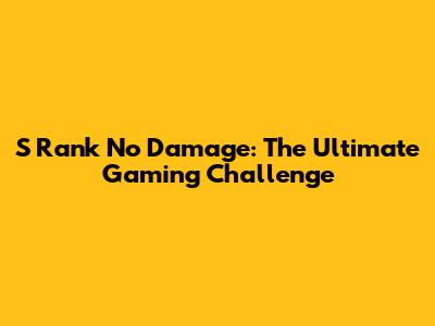 S Rank No Damage: The Ultimate Gaming Challenge