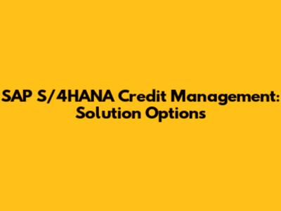 SAP S/4HANA Credit Management: Solution Options