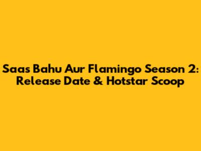 Saas Bahu Aur Flamingo Season 2: Release Date & Hotstar Scoop