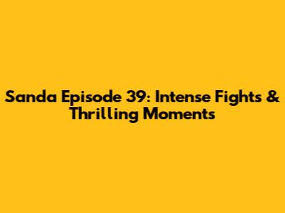 Sanda Episode 39: Intense Fights & Thrilling Moments