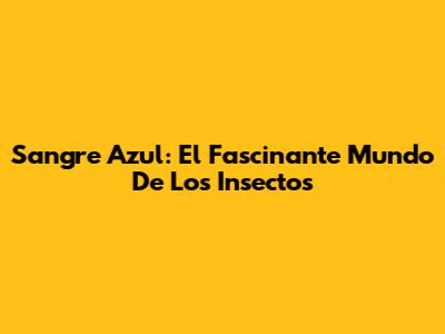 Sangre Azul: El Fascinante Mundo De Los Insectos
