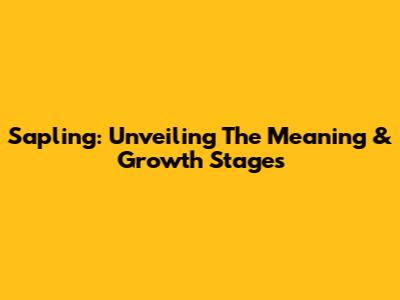 Sapling: Unveiling The Meaning & Growth Stages