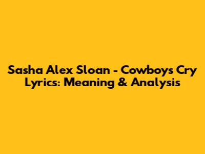 Sasha Alex Sloan - Cowboys Cry Lyrics: Meaning & Analysis