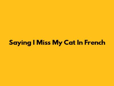 Saying 'I Miss My Cat' In French