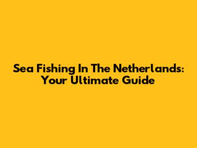 Sea Fishing In The Netherlands: Your Ultimate Guide