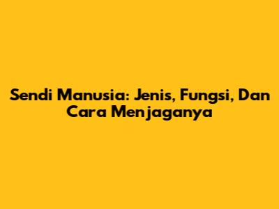 Sendi Manusia: Jenis, Fungsi, Dan Cara Menjaganya