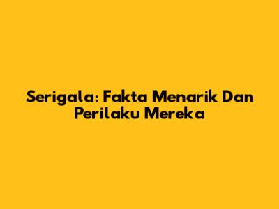 Serigala: Fakta Menarik Dan Perilaku Mereka