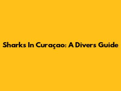 Sharks In Curaçao: A Diver's Guide