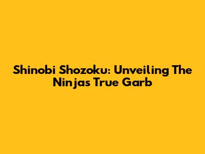 Shinobi Shozoku: Unveiling The Ninja's True Garb