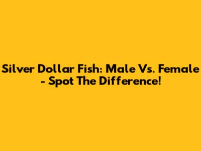 Silver Dollar Fish: Male Vs. Female - Spot The Difference!