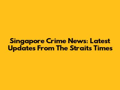Singapore Crime News: Latest Updates From The Straits Times