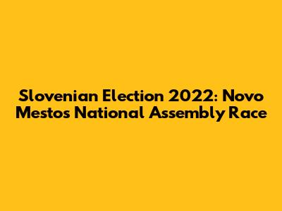 Slovenian Election 2022: Novo Mesto's National Assembly Race