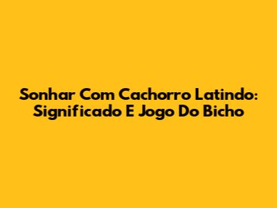 Sonhar Com Cachorro Latindo: Significado E Jogo Do Bicho