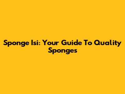 Sponge Isi: Your Guide To Quality Sponges