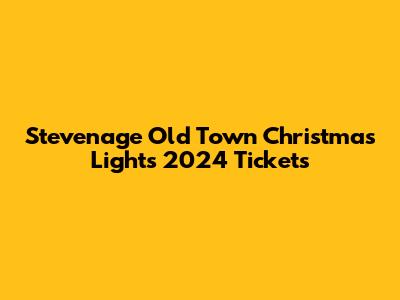 Stevenage Old Town Christmas Lights 2024 Tickets