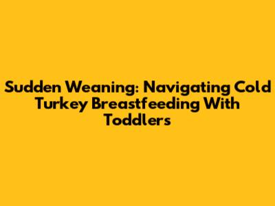 Sudden Weaning: Navigating Cold Turkey Breastfeeding With Toddlers