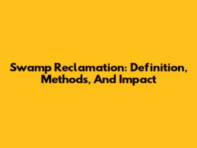 Swamp Reclamation: Definition, Methods, And Impact