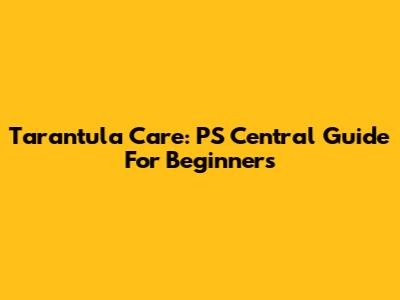 Tarantula Care: PS Central Guide For Beginners