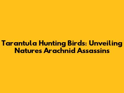 Tarantula Hunting Birds: Unveiling Nature's Arachnid Assassins
