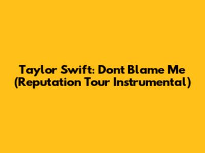 Taylor Swift: Don't Blame Me (Reputation Tour Instrumental)