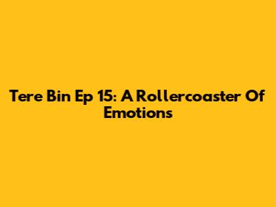 Tere Bin Ep 15: A Rollercoaster Of Emotions