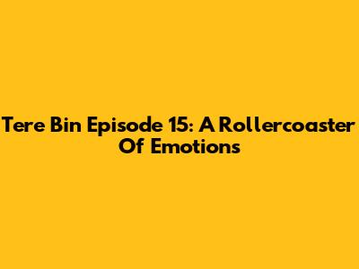 Tere Bin Episode 15: A Rollercoaster Of Emotions