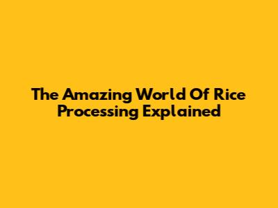 The Amazing World Of Rice Processing Explained
