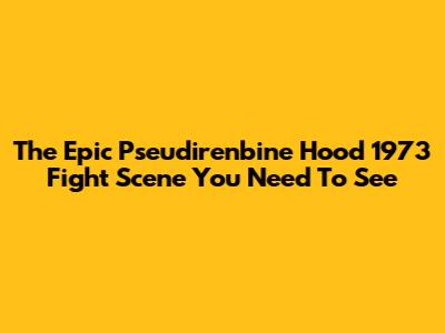 The Epic Pseudirenbine Hood 1973 Fight Scene You Need To See