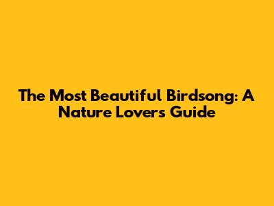 The Most Beautiful Birdsong: A Nature Lover's Guide