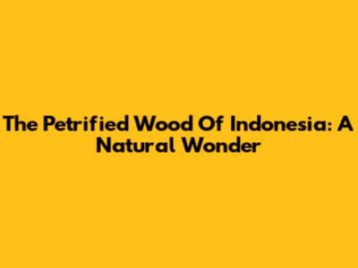 The Petrified Wood Of Indonesia: A Natural Wonder