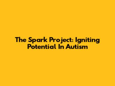 The Spark Project: Igniting Potential In Autism