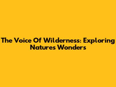 The Voice Of Wilderness: Exploring Nature's Wonders