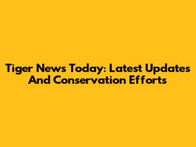 Tiger News Today: Latest Updates And Conservation Efforts