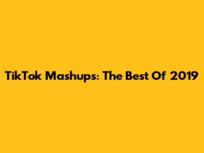 TikTok Mashups: The Best Of 2019
