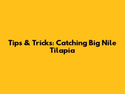 Tips & Tricks: Catching Big Nile Tilapia