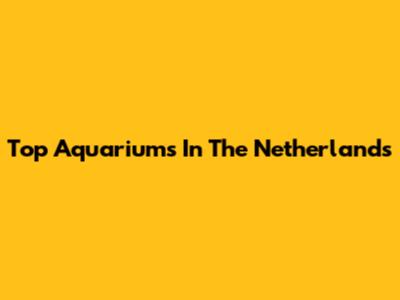 Top Aquariums In The Netherlands