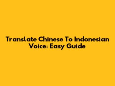 Translate Chinese To Indonesian Voice: Easy Guide