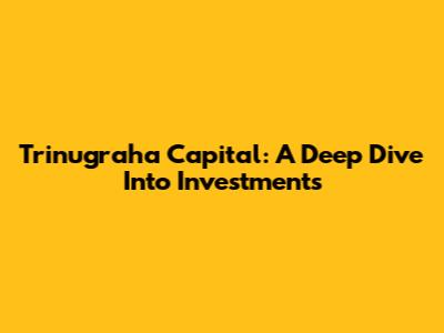 Trinugraha Capital: A Deep Dive Into Investments