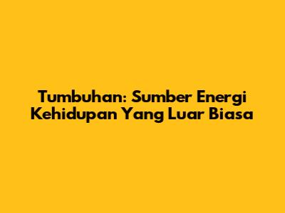 Tumbuhan: Sumber Energi Kehidupan Yang Luar Biasa