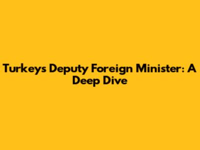 Turkey's Deputy Foreign Minister: A Deep Dive