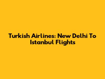 Turkish Airlines: New Delhi To Istanbul Flights